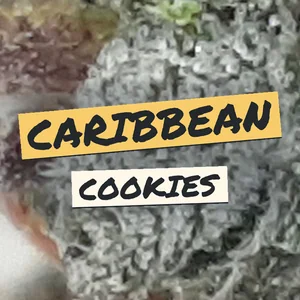 Caribbean Cookies Cannabis Strain