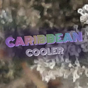 Caribbean Cooler Cannabis Strain