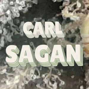 Carl Sagan Cannabis Strain