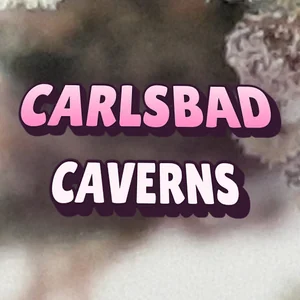 Carlsbad Caverns Cannabis Strain