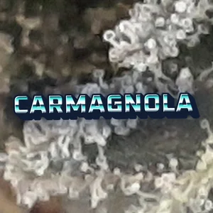 Carmagnola Cannabis Strain