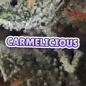 Carmelicious Cannabis Strain