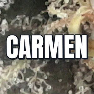Carmen Cannabis Strain