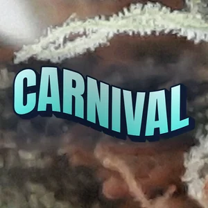 Carnival Cannabis Strain