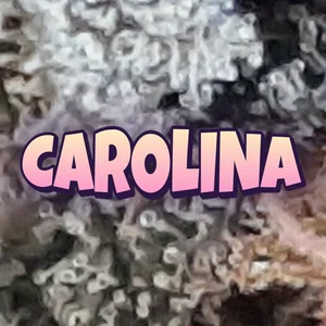 Carolina Cannabis Strain