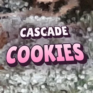 Cascade Cookies Cannabis Strain