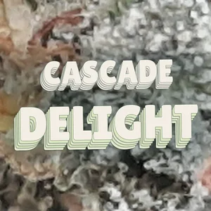 Cascade Delight Cannabis Strain