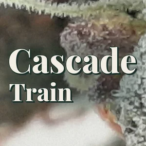Cascade Train Cannabis Strain
