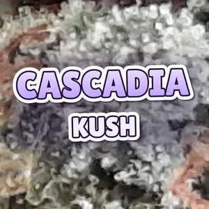 Cascadia Kush Cannabis Strain