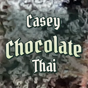 Casey Chocolate Thai Cannabis Strain
