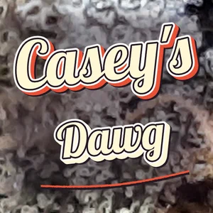 Casey's Dawg Cannabis Strain
