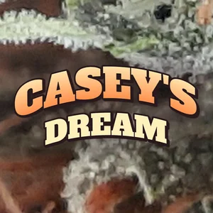 Casey's Dream Cannabis Strain