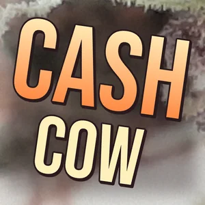 Cash Cow Cannabis Strain