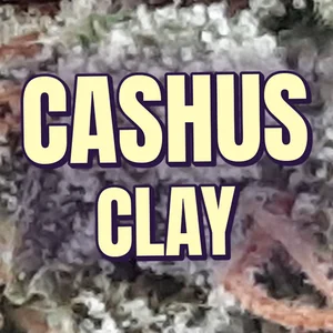 Cashus Clay Cannabis Strain