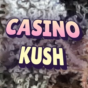 Casino Kush Cannabis Strain