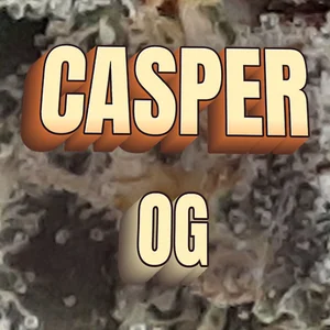 Casper OG Cannabis Strain