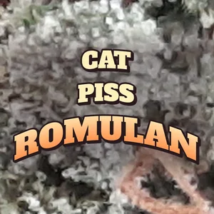 Cat Piss Romulan Cannabis Strain