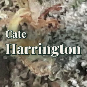 Cate Harrington Cannabis Strain