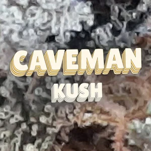 Caveman Kush Cannabis Strain