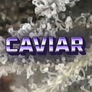 Caviar Cannabis Strain