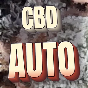 CBD Auto Cannabis Strain