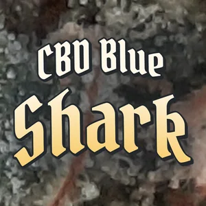 CBD Blue Shark Cannabis Strain
