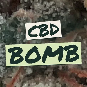 CBD Bomb Cannabis Strain