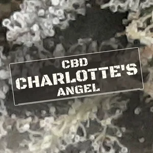 CBD Charlotte's Angel Cannabis Strain