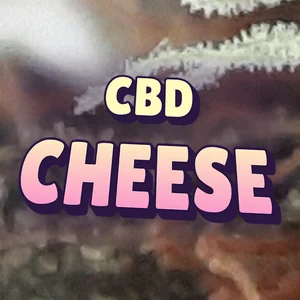 CBD Cheese Cannabis Strain