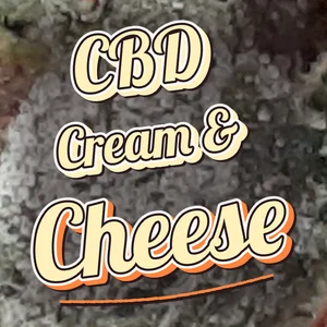 CBD Cream & Cheese Cannabis Strain