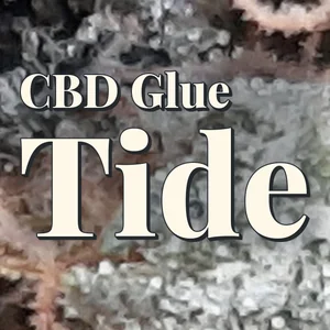 CBD Glue Tide Cannabis Strain