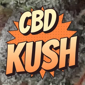 CBD Kush Cannabis Strain