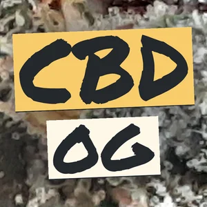 CBD OG Cannabis Strain