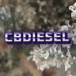 CBDiesel Cannabis Strain