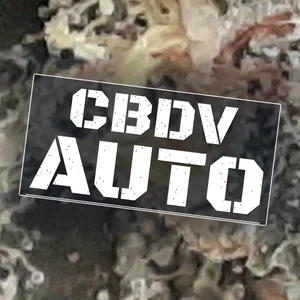 CBDV Auto Cannabis Strain
