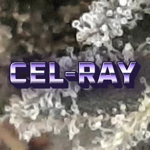 Cel-Ray Cannabis Strain