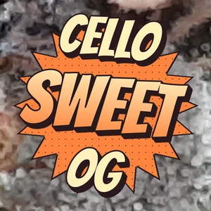 Cello Sweet OG Cannabis Strain