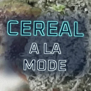 Cereal a la Mode Cannabis Strain