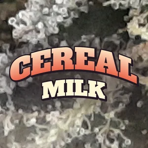 Cereal Milk Cannabis Strain
