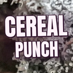 Cereal Punch Cannabis Strain