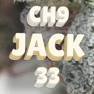 CH9 Jack 33 Cannabis Strain