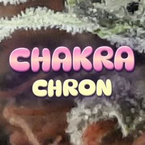 Chakra Chron Cannabis Strain