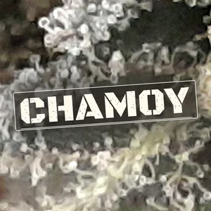 Chamoy Cannabis Strain