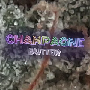 Champagne Butter Cannabis Strain