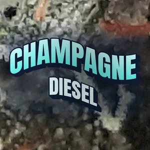 Champagne Diesel Cannabis Strain
