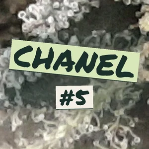 Chanel #5 Cannabis Strain