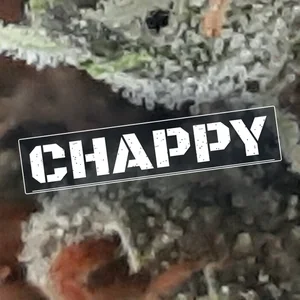Chappy Cannabis Strain