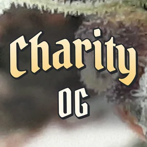 Charity OG Cannabis Strain