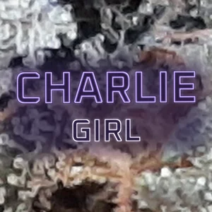 Charlie Girl Cannabis Strain