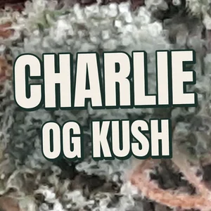 Charlie OG Kush Cannabis Strain